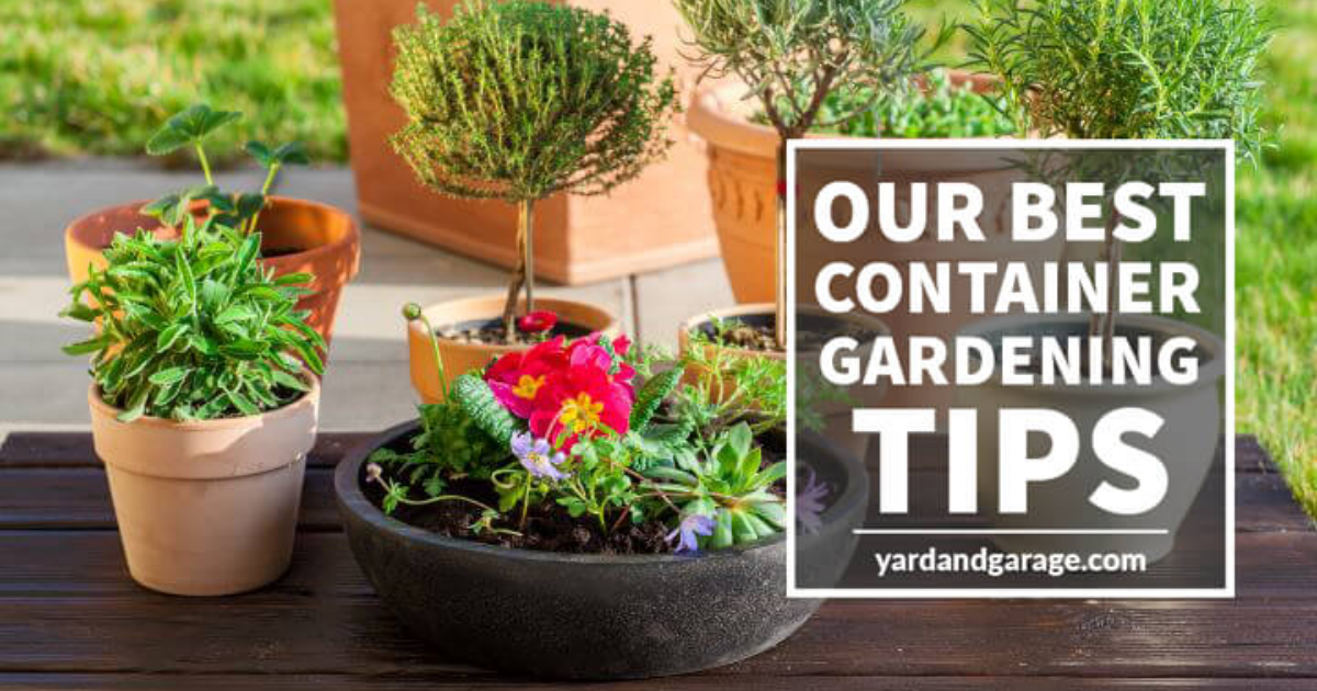 10 Helpful & Easy Container Gardening Tips – Yard And Garage