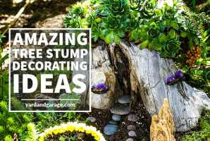 The Best Tree Stump Ideas for Decorating and Repurposing – Yard and Garage