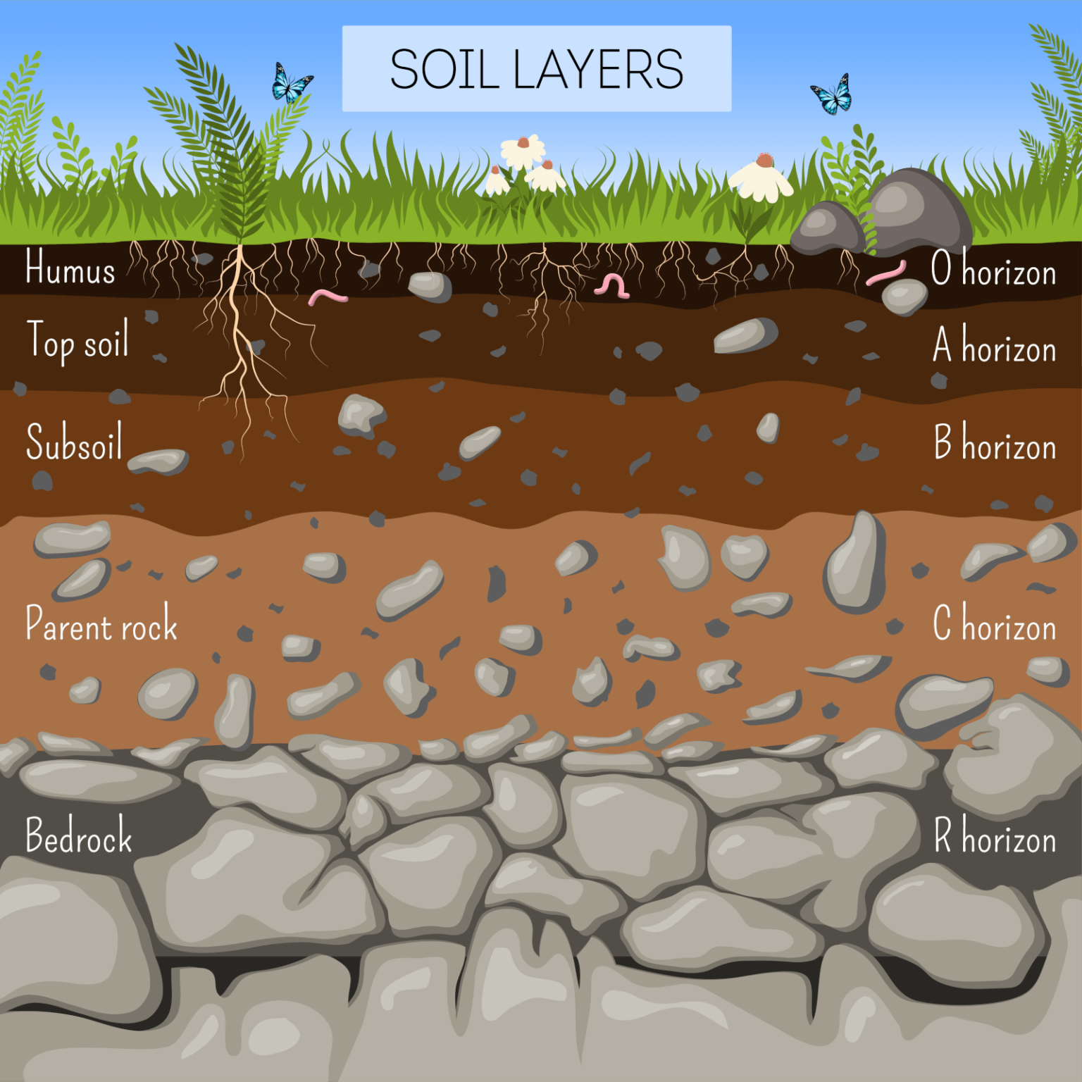 How Much Does a Yard of Topsoil Weigh – Yard and Garage