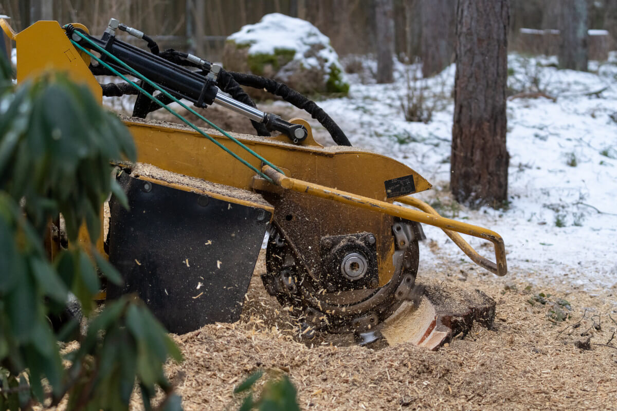 stump grinder actively grinding down a tree stump in the snow